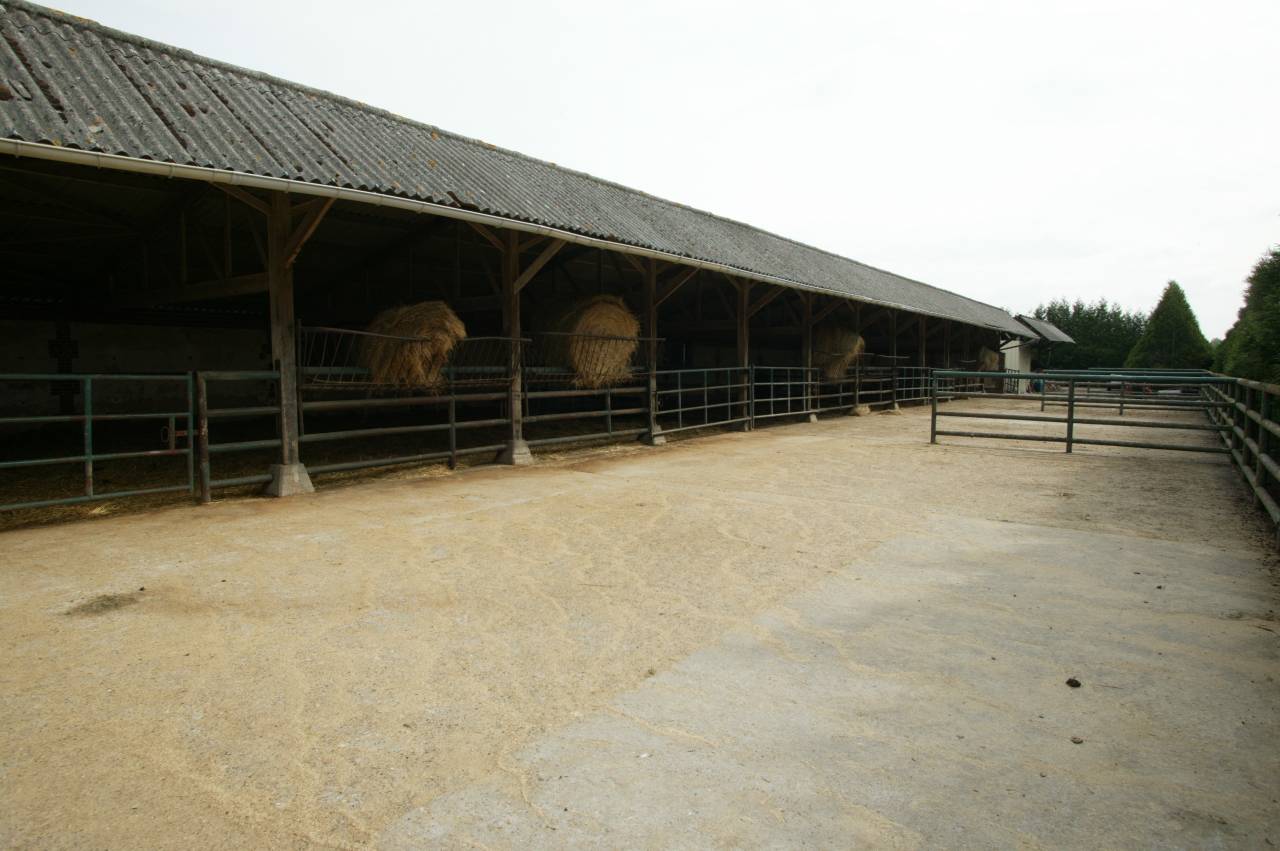 Stud farm  Calvados