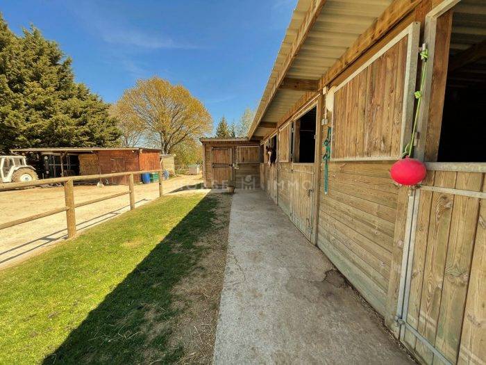 Equestrian property  Yvelines