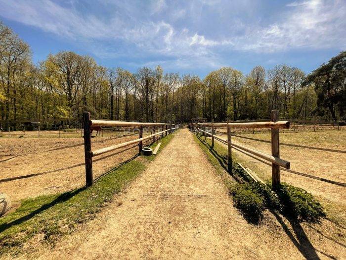 Equestrian property  Yvelines