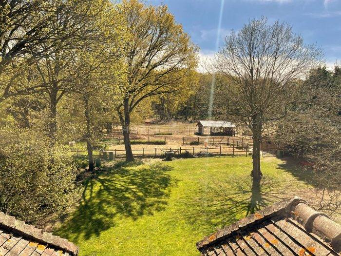 Equestrian property  Yvelines