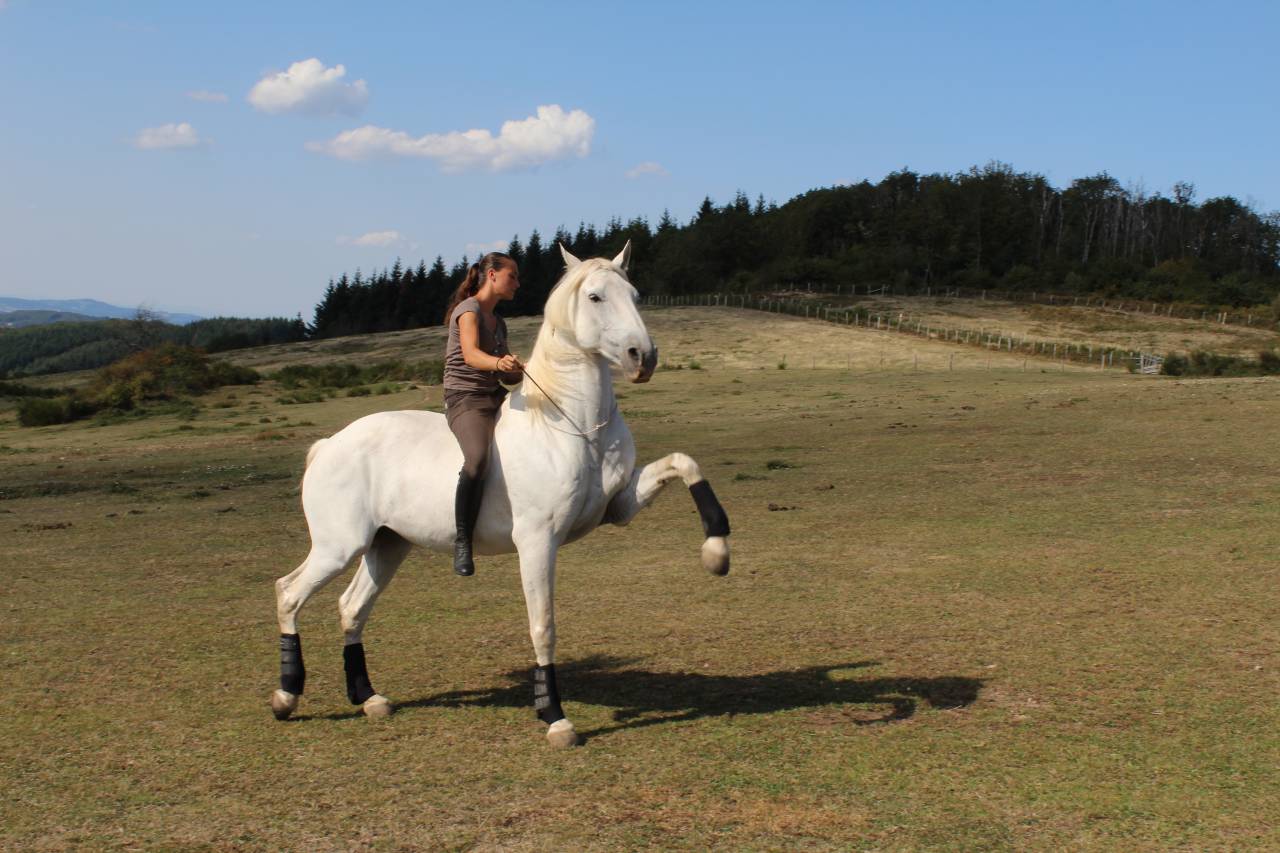 Apprentice - Apprentice Full time - Rh&ocirc;ne France