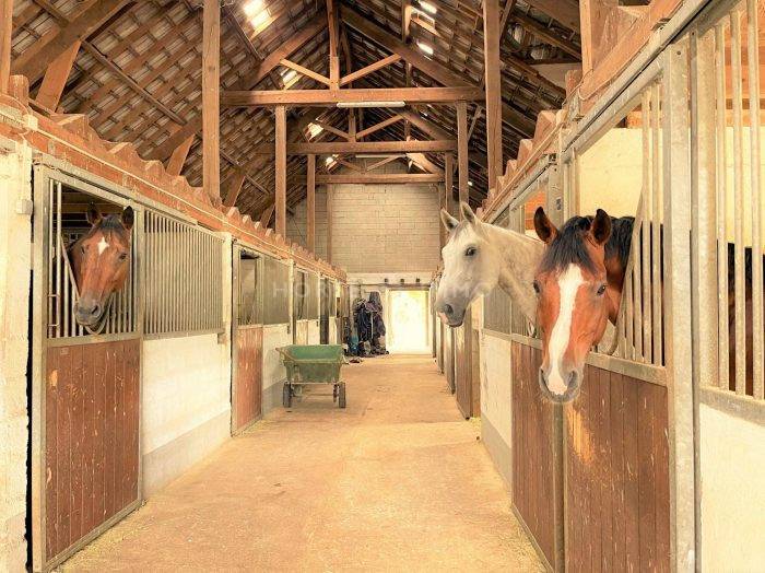 Equestrian property  Seine-et-Marne