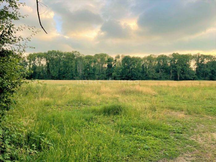 Equestrian property  Seine-et-Marne