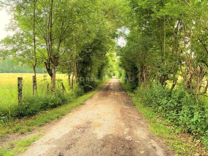 Equestrian property  Seine-et-Marne