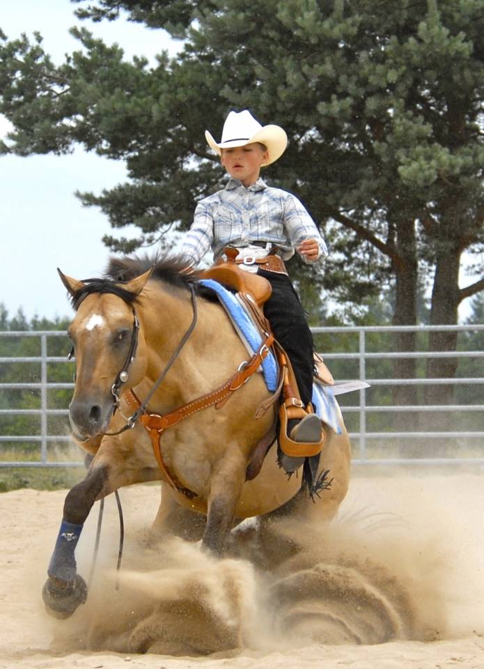 Colt Appaloosa For sale 2020 Palomino