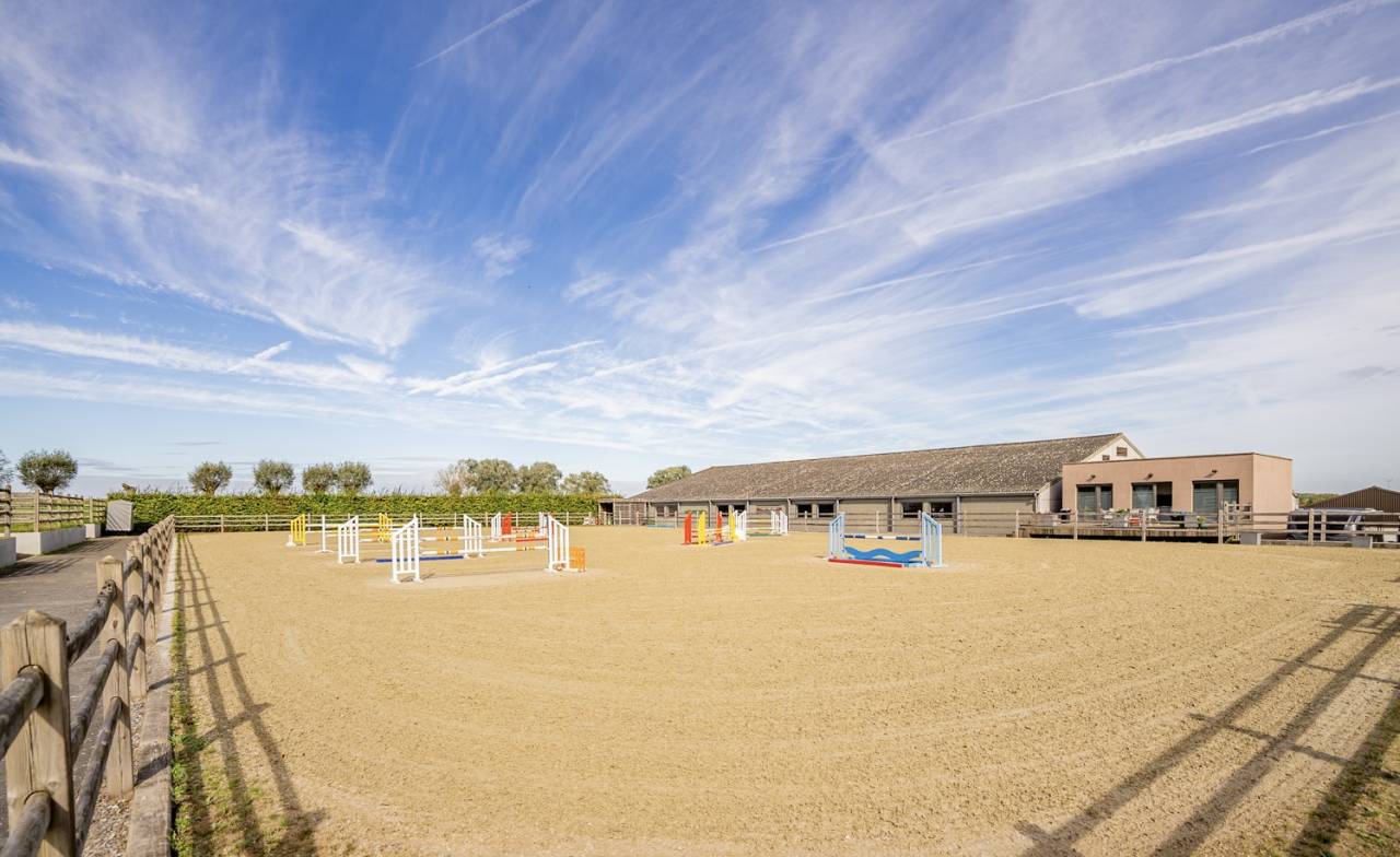 Livery yard  Brabant flamand