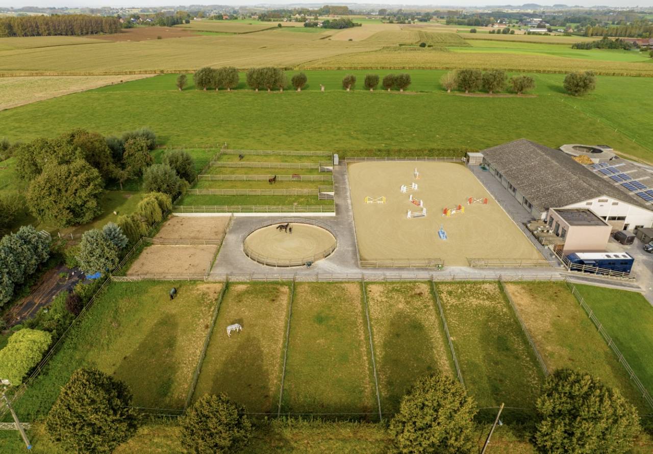 Livery yard  Brabant flamand