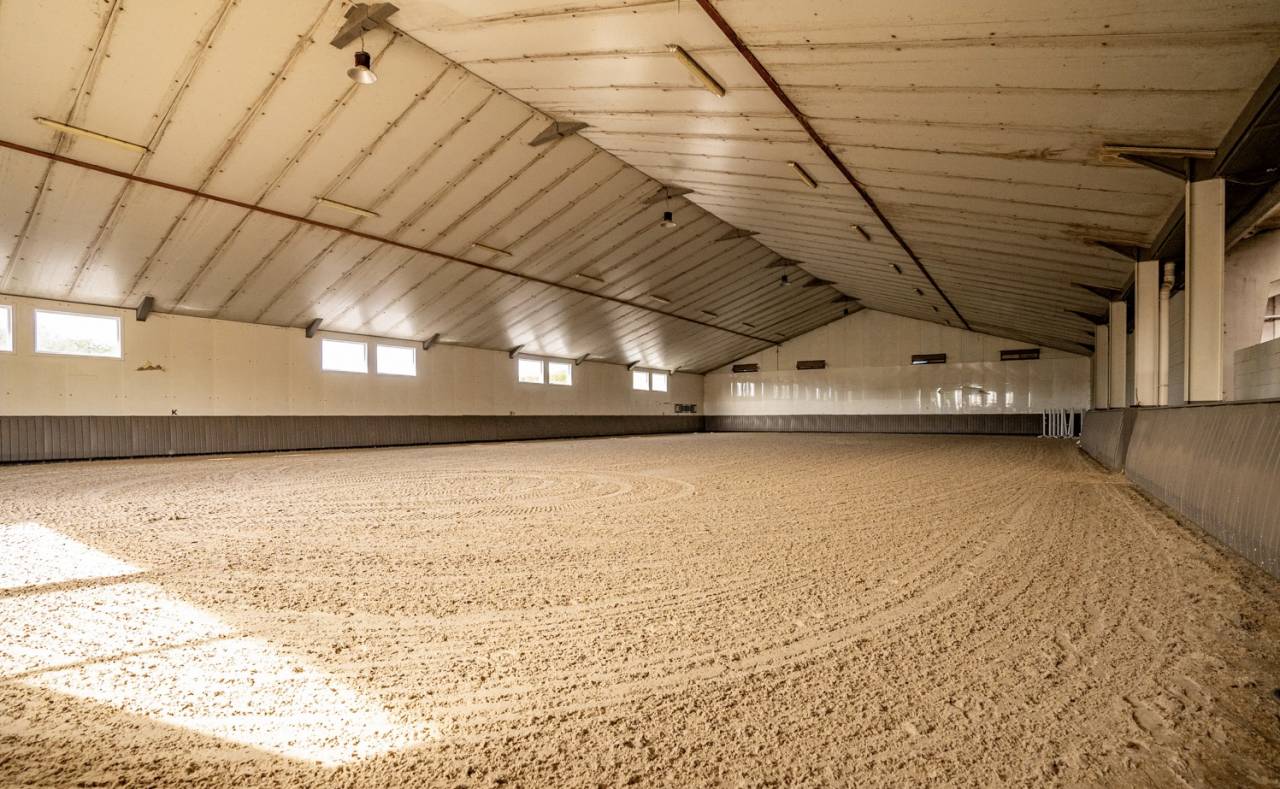 Livery yard  Brabant flamand