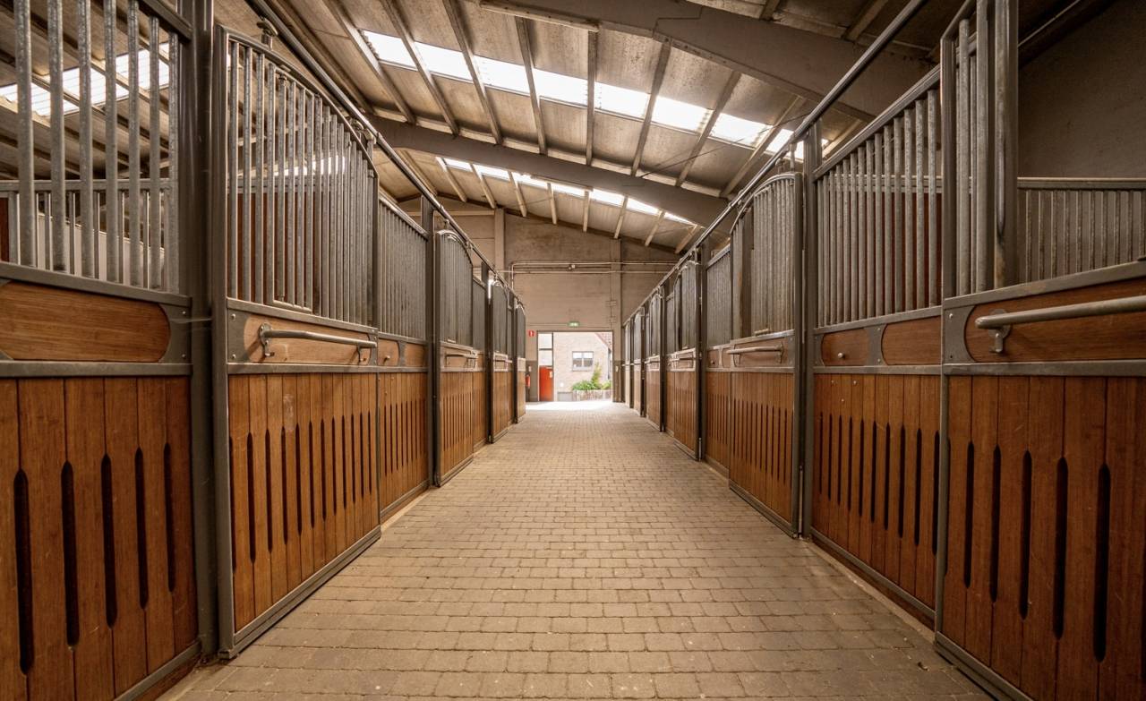 Livery yard  Brabant flamand