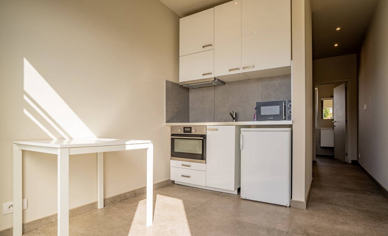 Livery yard  Brabant flamand