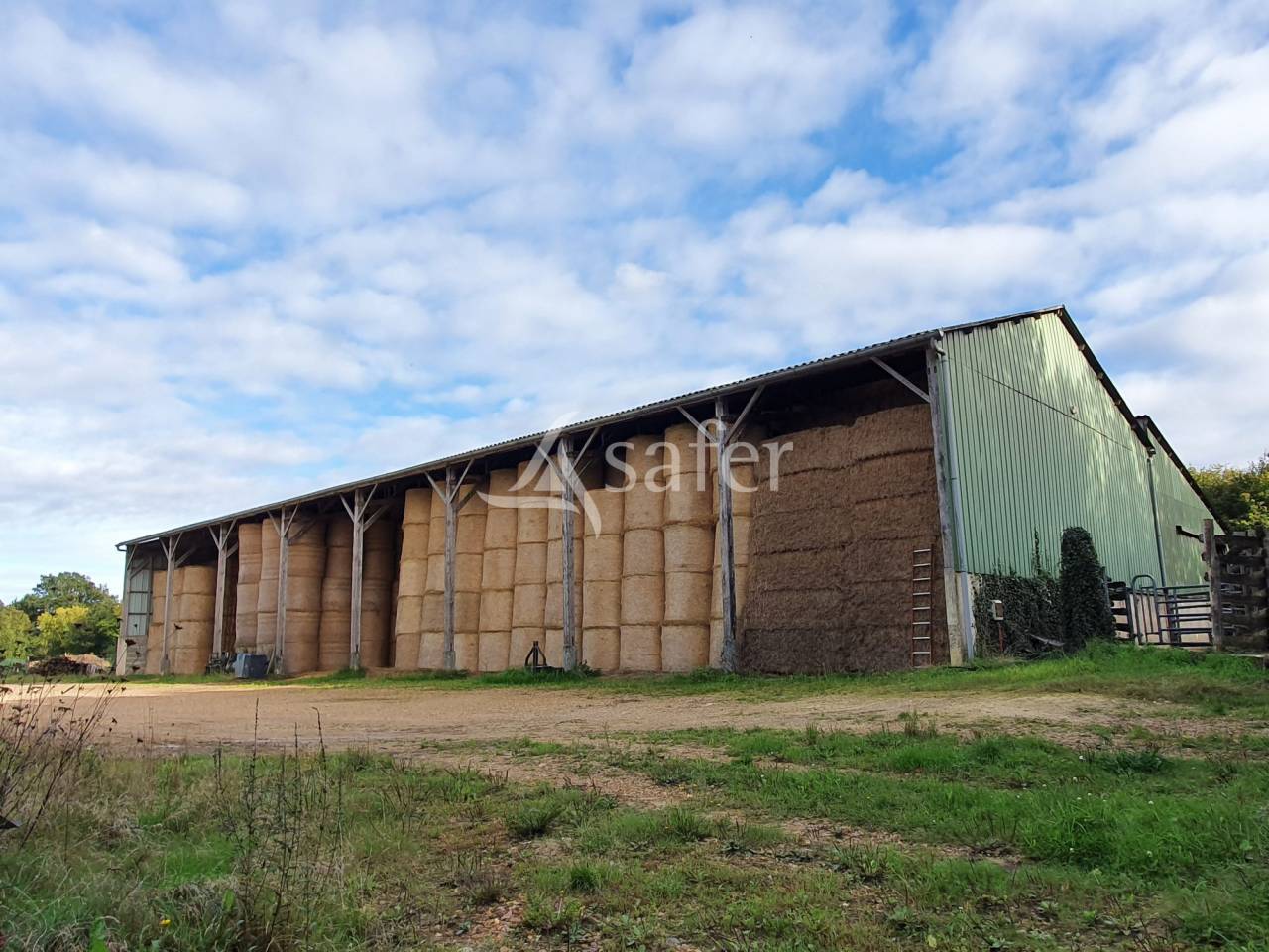 Poultry farm  Sarthe