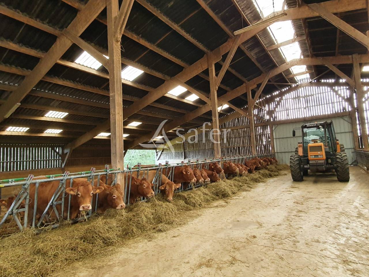 Poultry farm  Sarthe