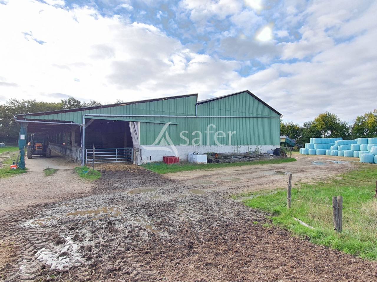 Poultry farm  Sarthe