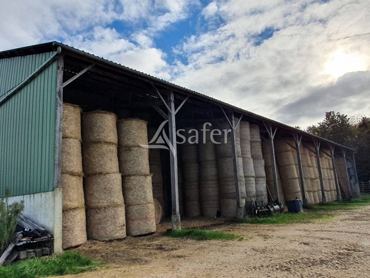 Poultry farm  Sarthe