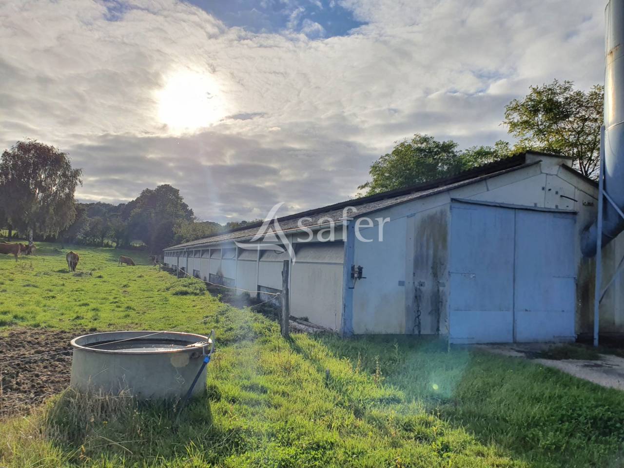 Poultry farm  Sarthe
