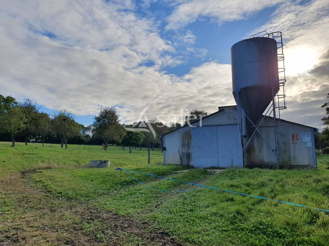 Poultry farm  Sarthe