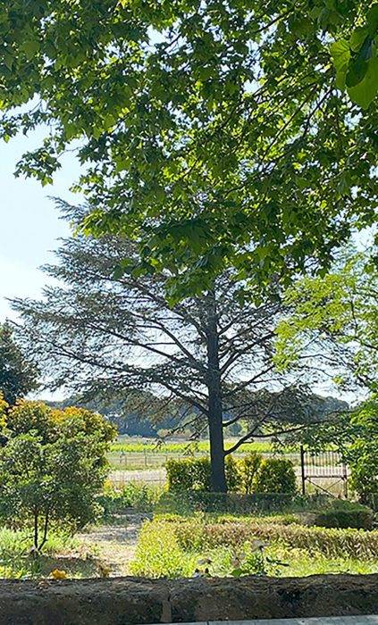 Equestrian property  Hérault