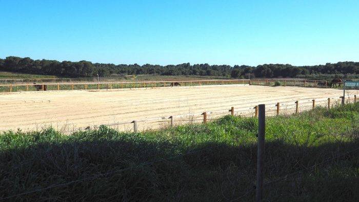 Equestrian property  Hérault