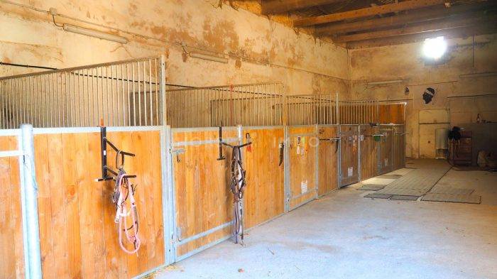 Equestrian property  Hérault