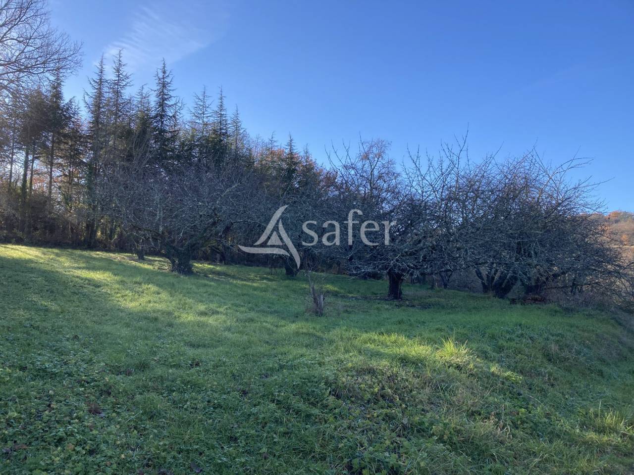 Equestrian property  Lot-et-Garonne