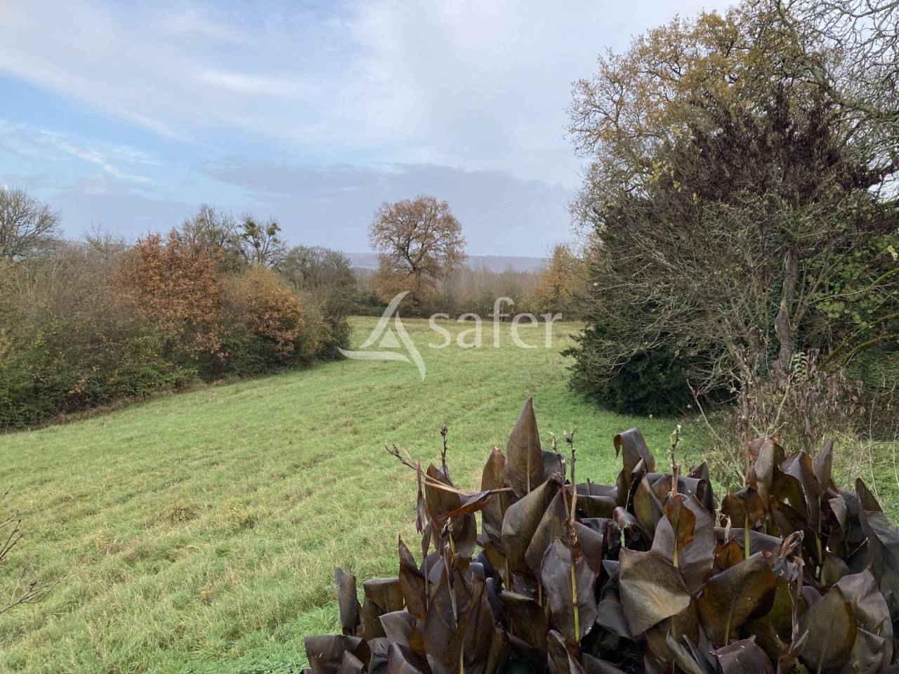 Equestrian property  Lot-et-Garonne