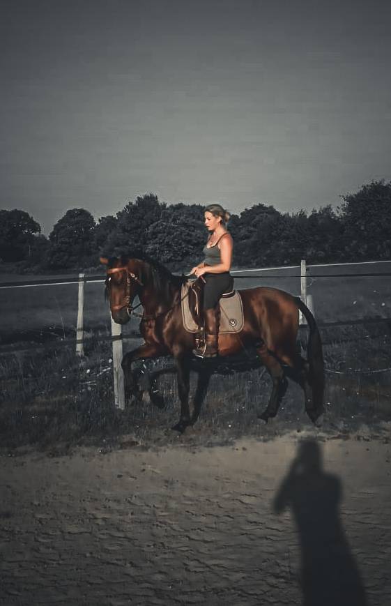 Amadeo de Ruyer - Lusitano 2010 by Borladero FLV