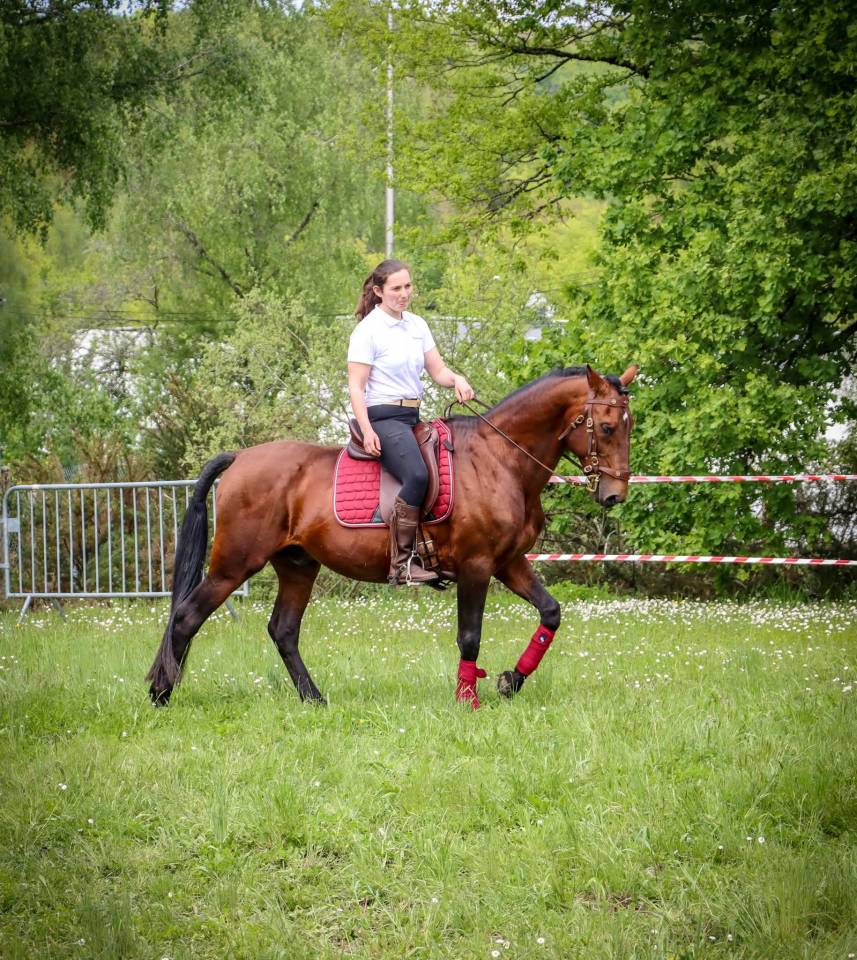 Amadeo de Ruyer - Lusitano 2010 by Borladero FLV