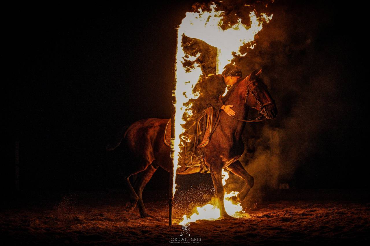 Amadeo de Ruyer - Lusitano 2010 by Borladero FLV