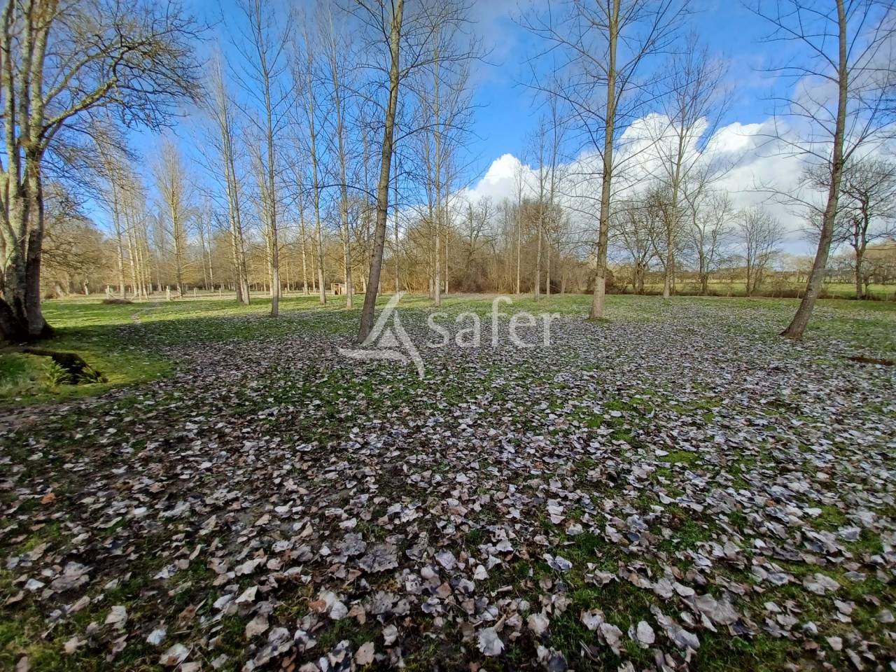 Other country property  Charente