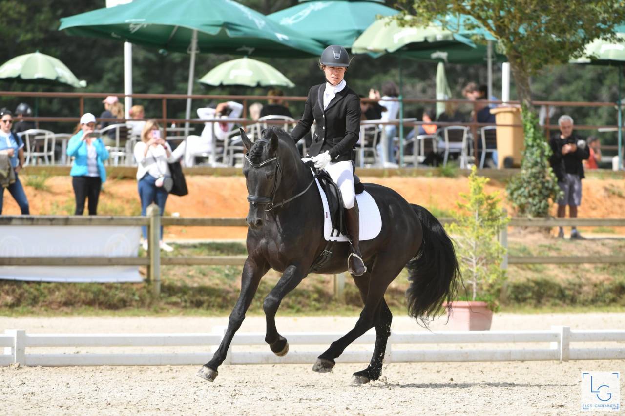 Wlahad des Brumières 029 - Friesian Arabian 2015 by Sinoan Bashhar Aswad