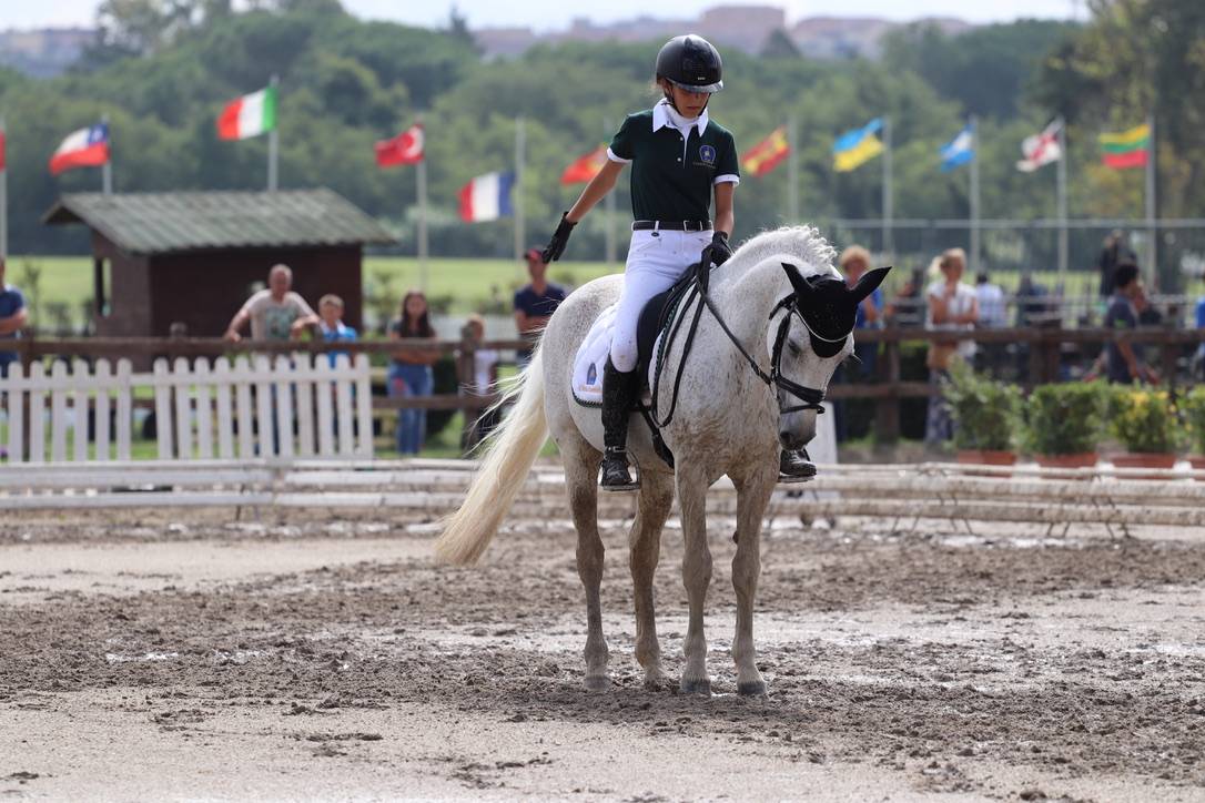 LAPSUS DE L'OCQ - New Forest 1999 by WILLOWAY GOOD AS GOLD (GB)