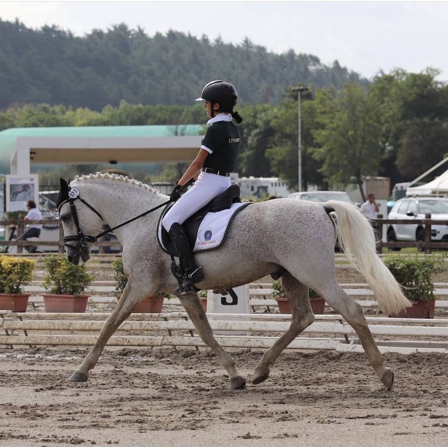 LAPSUS DE L'OCQ - New Forest 1999 by WILLOWAY GOOD AS GOLD (GB)