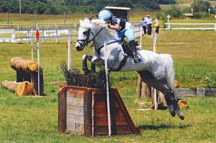 LAPSUS DE L'OCQ - New Forest 1999 by WILLOWAY GOOD AS GOLD (GB)