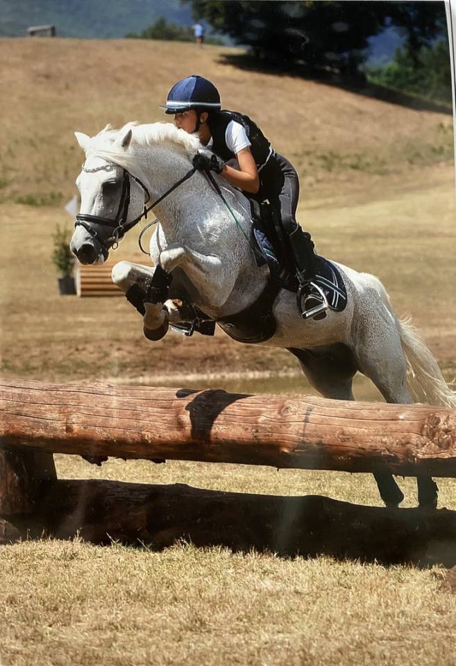 LAPSUS DE L'OCQ - New Forest 1999 by WILLOWAY GOOD AS GOLD (GB)