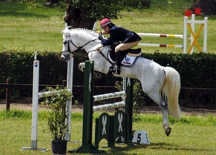LAPSUS DE L'OCQ - New Forest 1999 by WILLOWAY GOOD AS GOLD (GB)