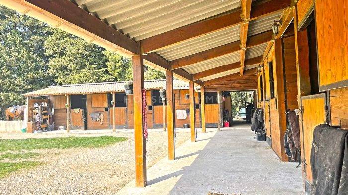 Luxurious equestrian property  Vaucluse