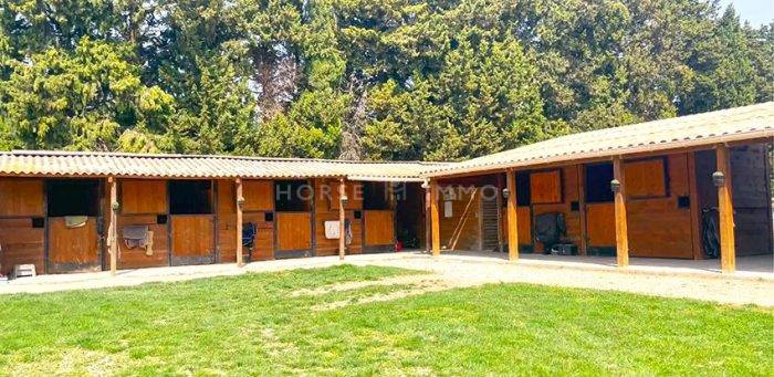 Luxurious equestrian property  Vaucluse