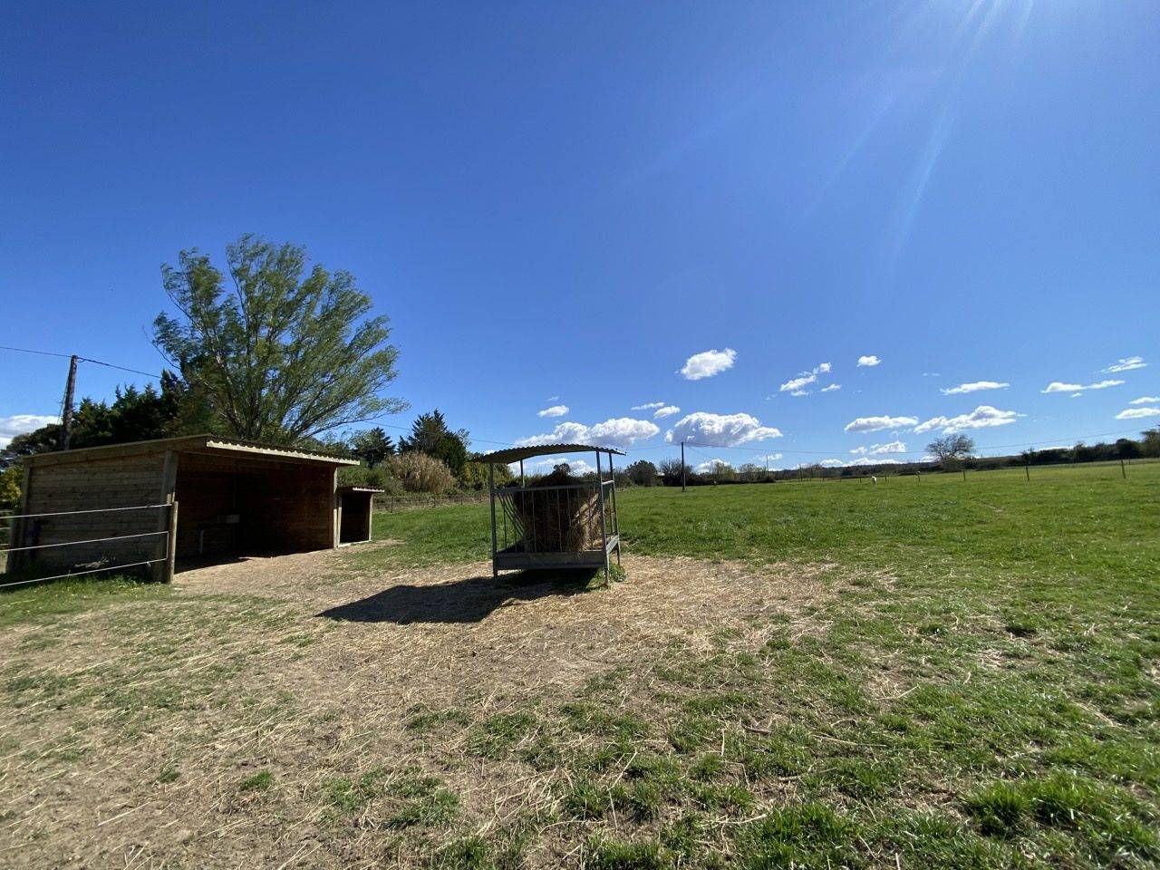 Equestrian Bed and Breakfast  Gard