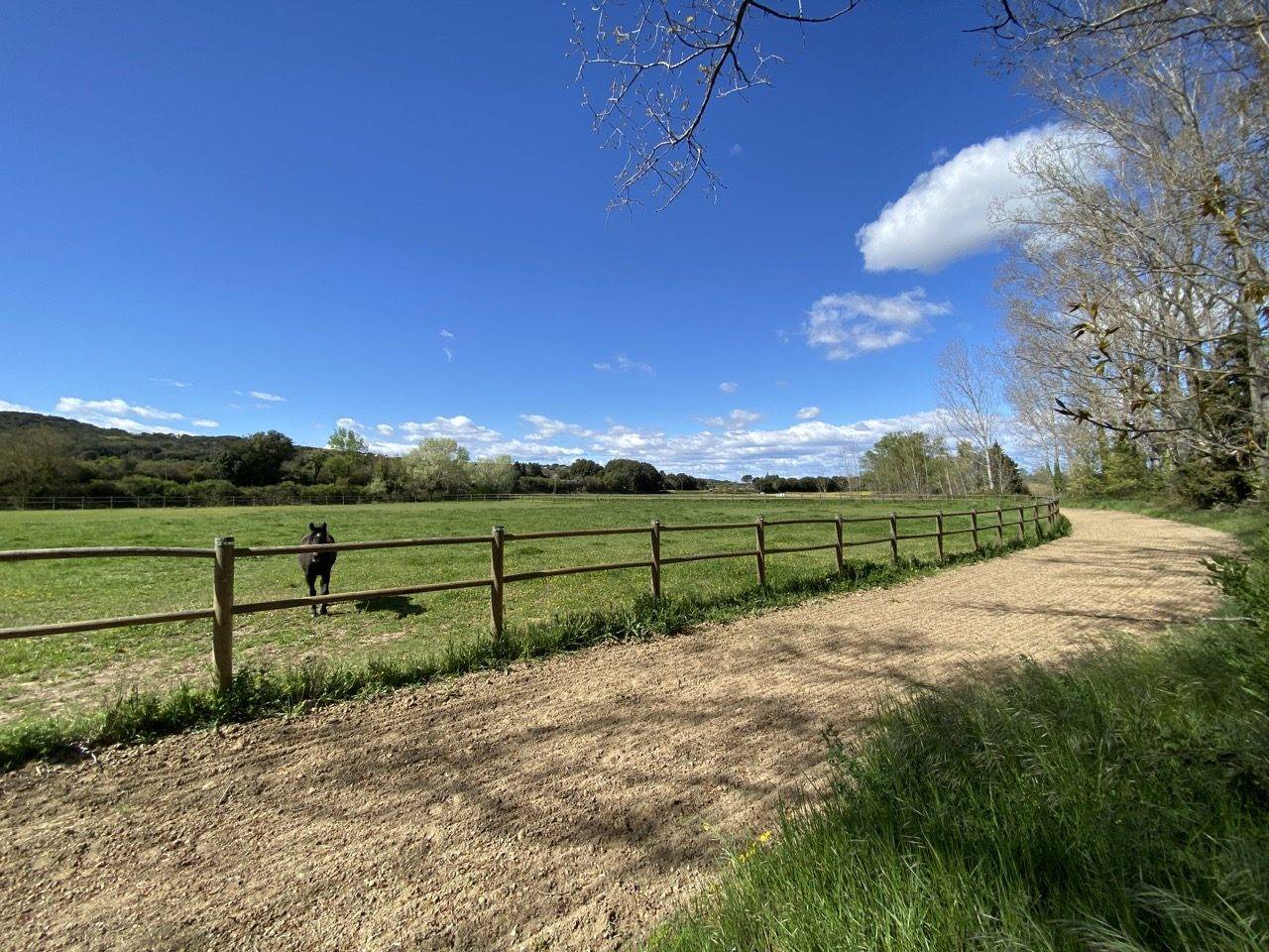 Equestrian Bed and Breakfast  Gard