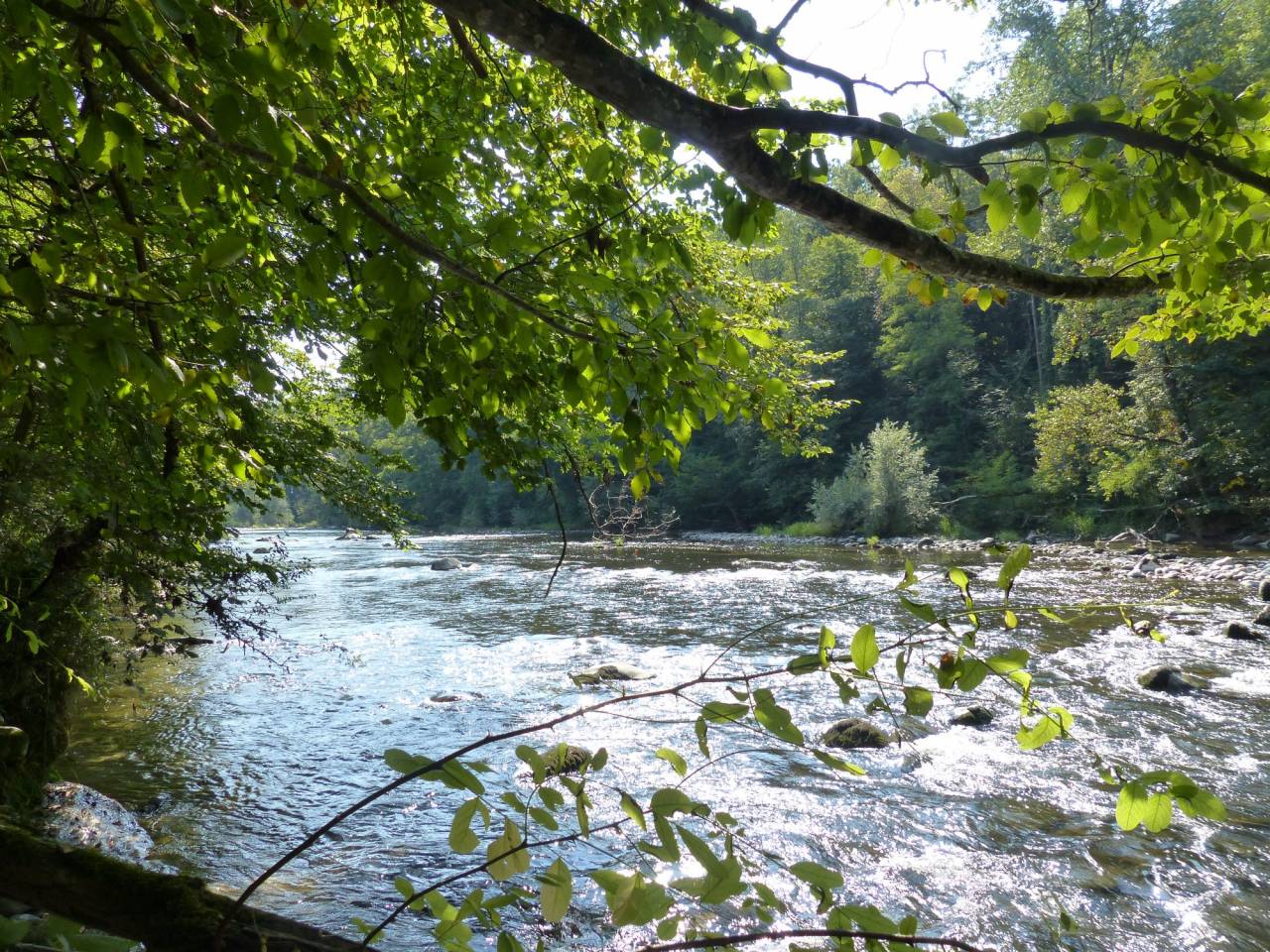 Equestrian property  Haute-Savoie