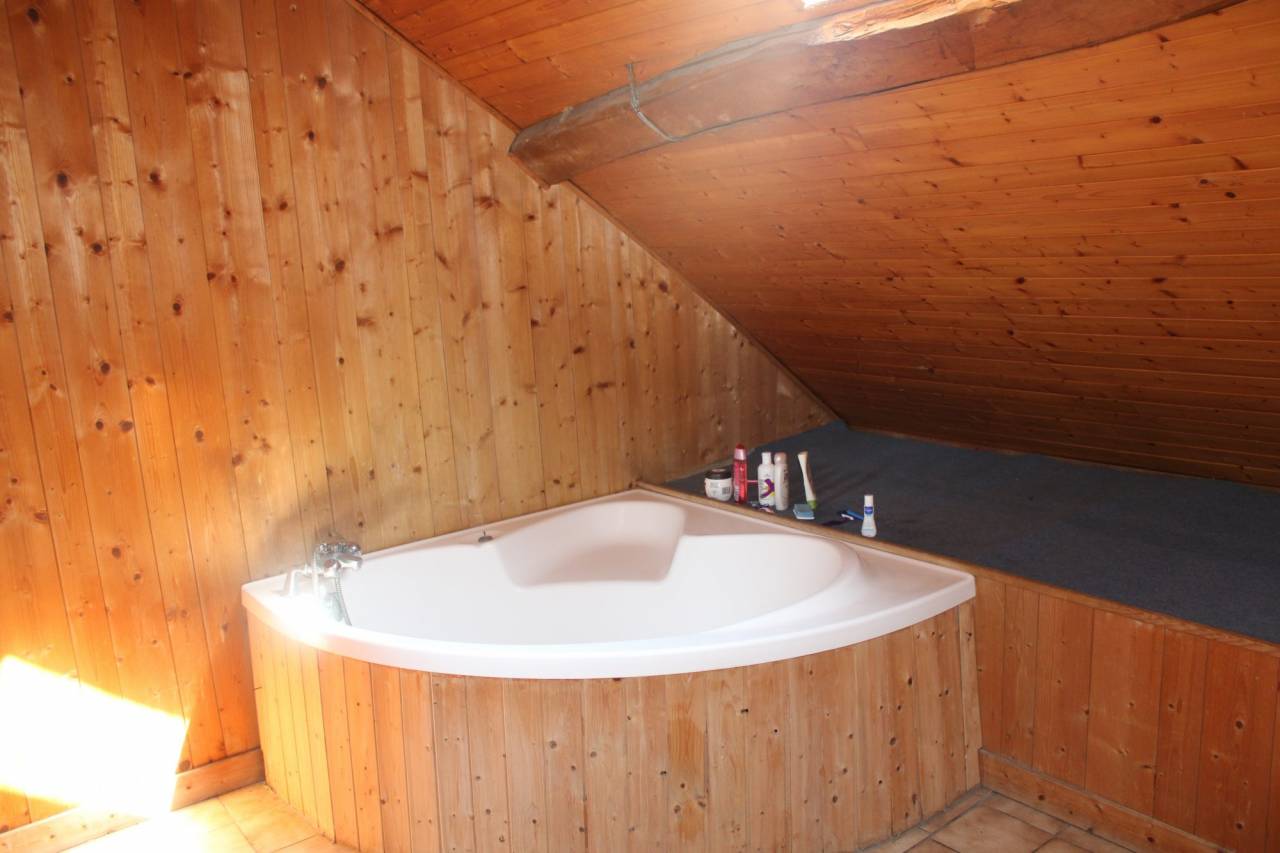 Equestrian property  Haute-Savoie