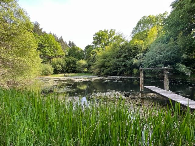 Luxury property  Indre