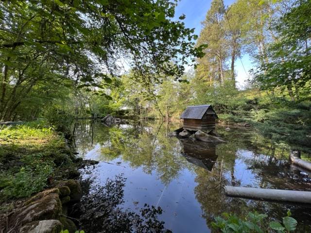 Luxury property  Indre