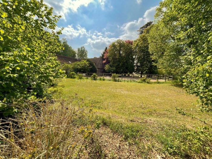 Equestrian property  Loir-et-Cher