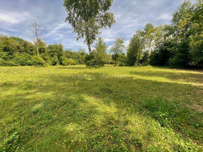 Equestrian property  Seine-et-Marne