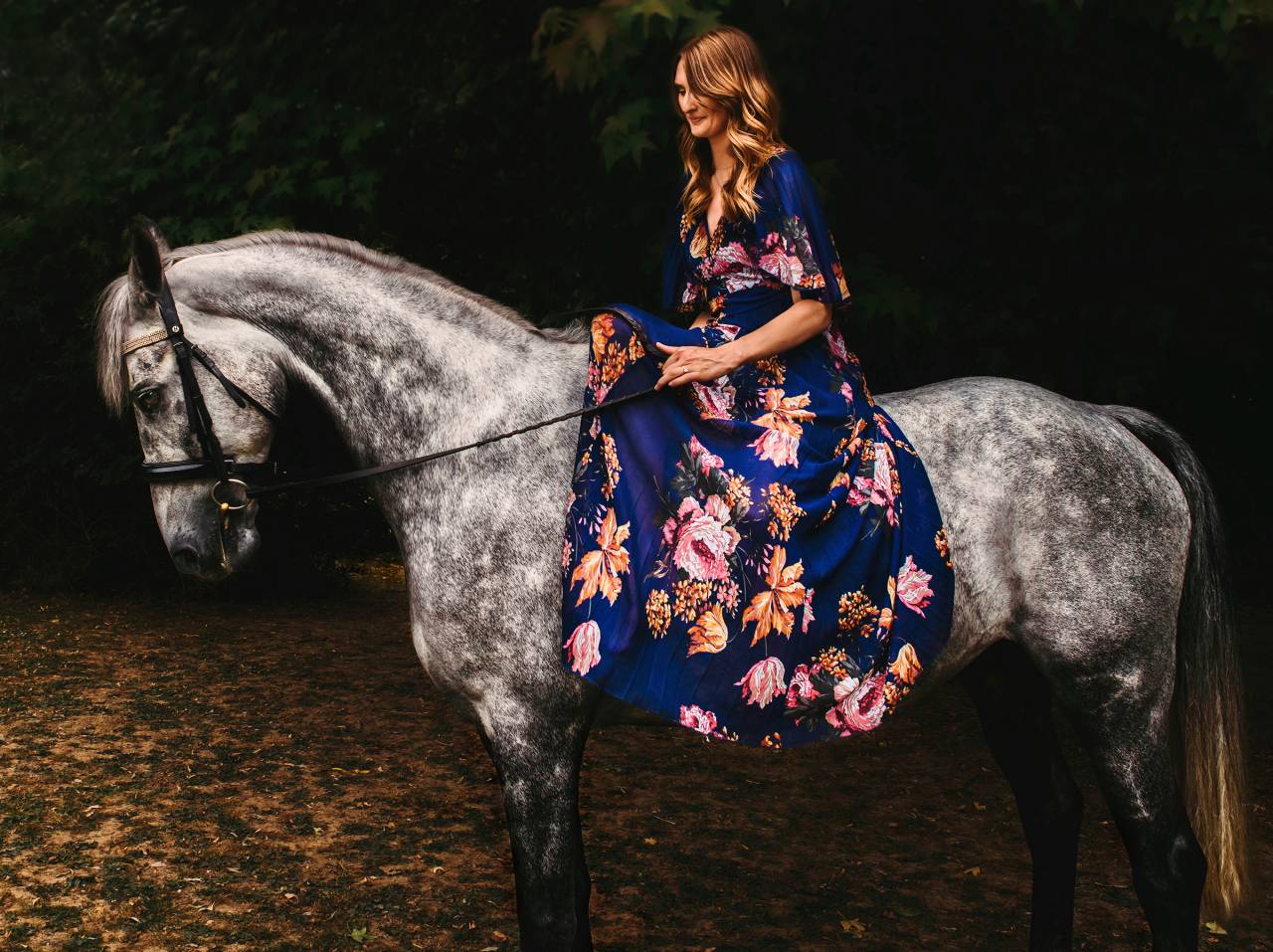 The Horse's Photographer - Fine Art Equine Photography