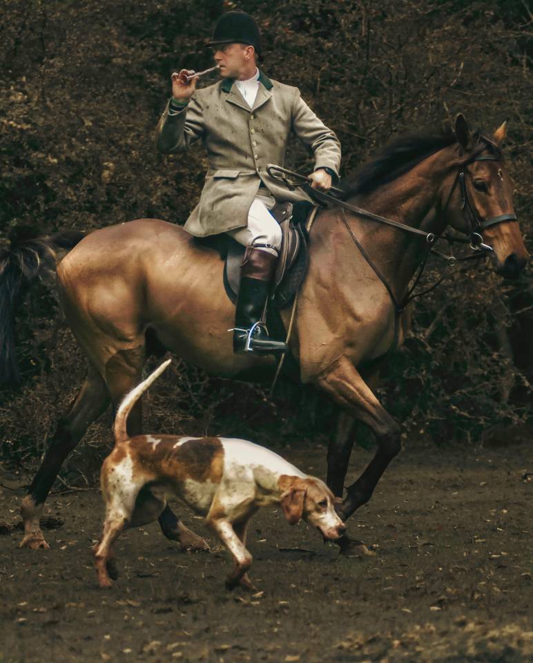 The Horse's Photographer - Fine Art Equine Photography