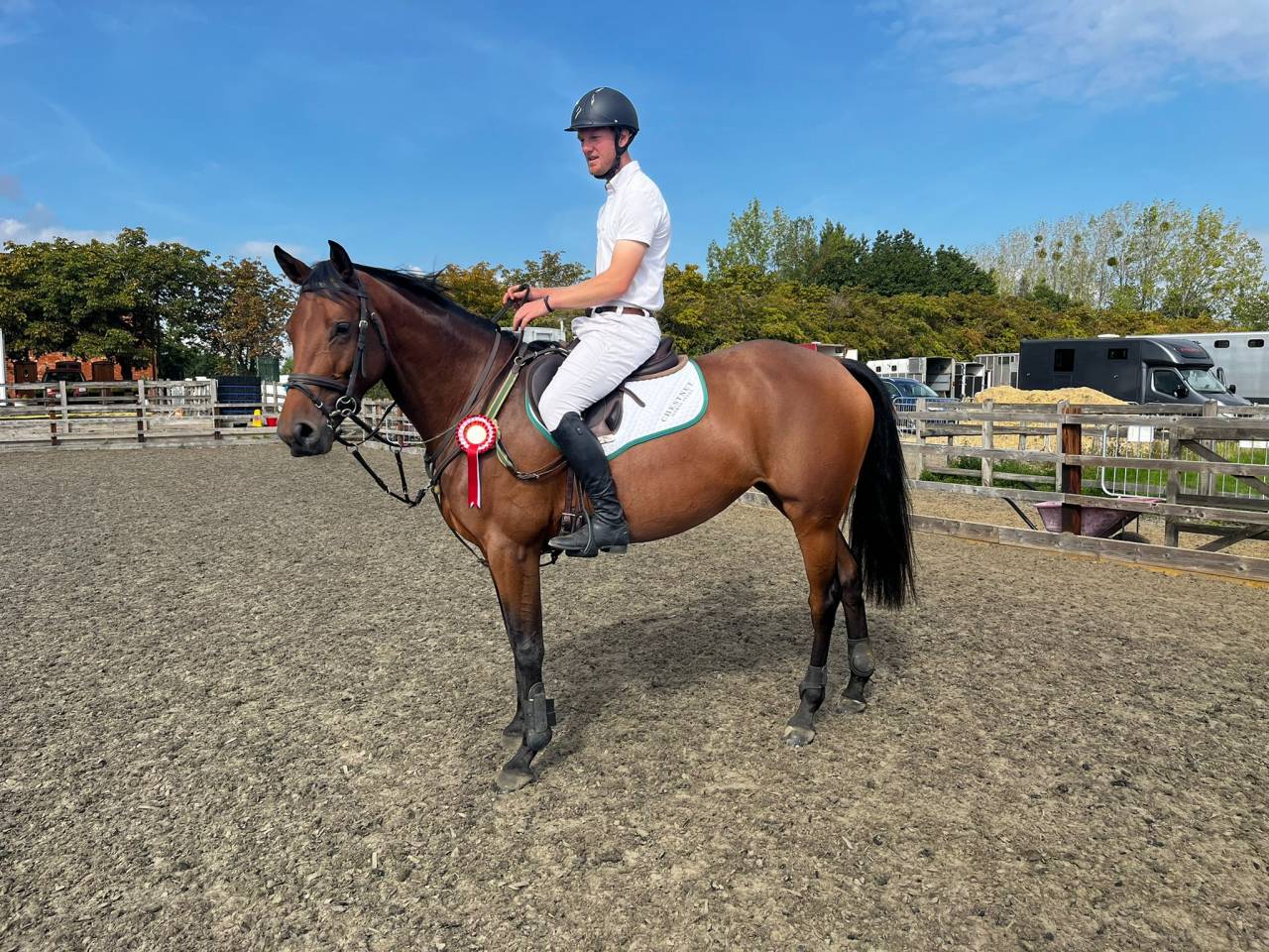Scopey Competitive Jumping Mare