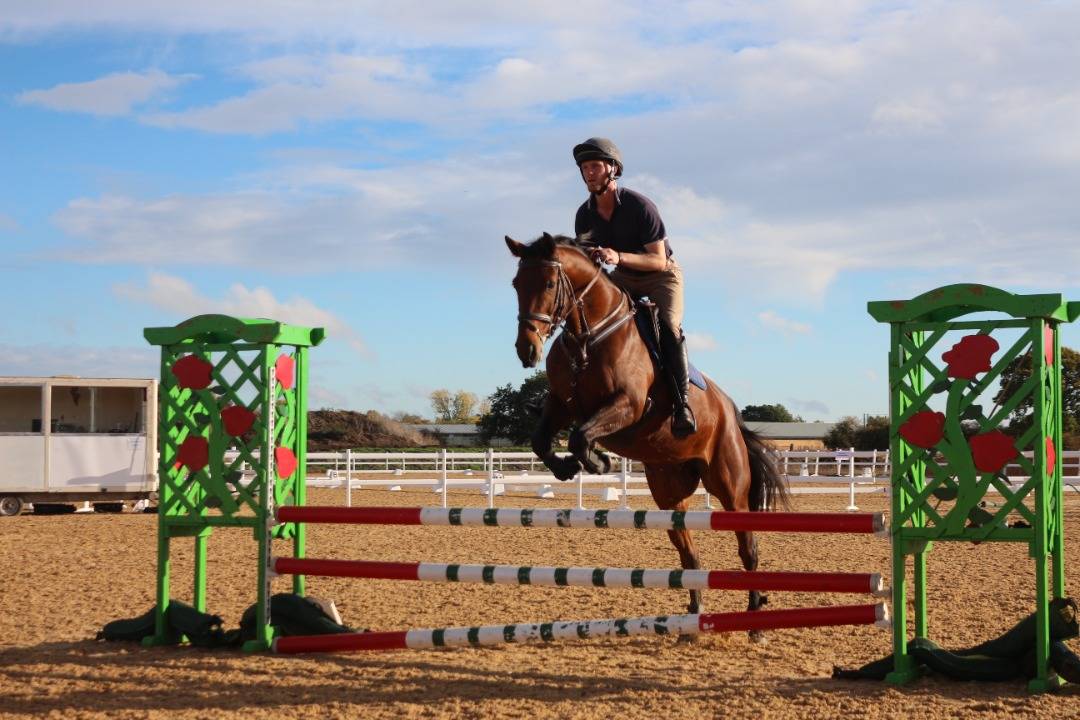 Scopey Competitive Jumping Mare