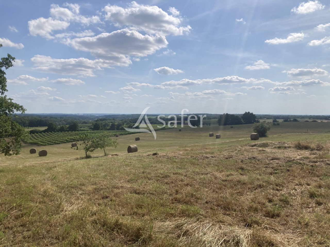 Equestrian property  Lot-et-Garonne